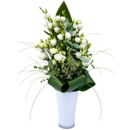 KYvv 41 - eustoma
