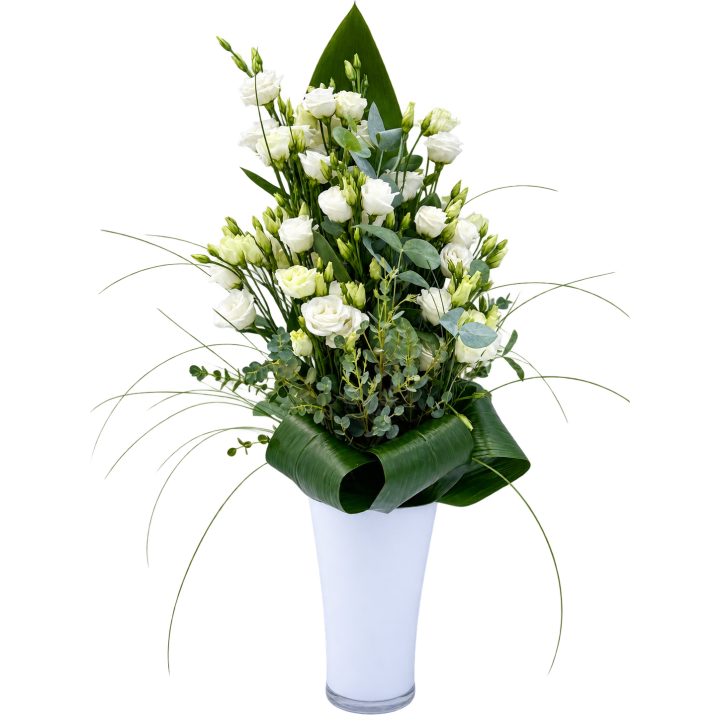 KYvv 41 - eustoma