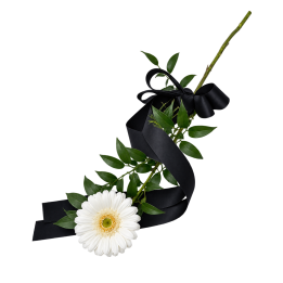 Gerbera do ruky